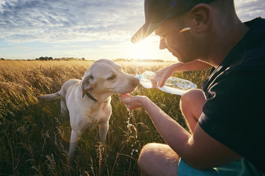 En mann gir vann til sin hund.Foto.